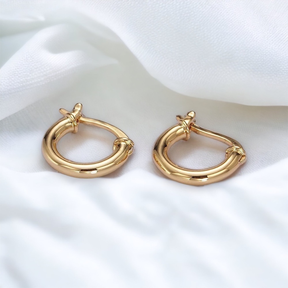 Small hoop earrings​​​​​​